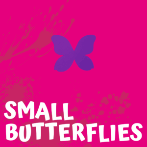 Small Butterflies